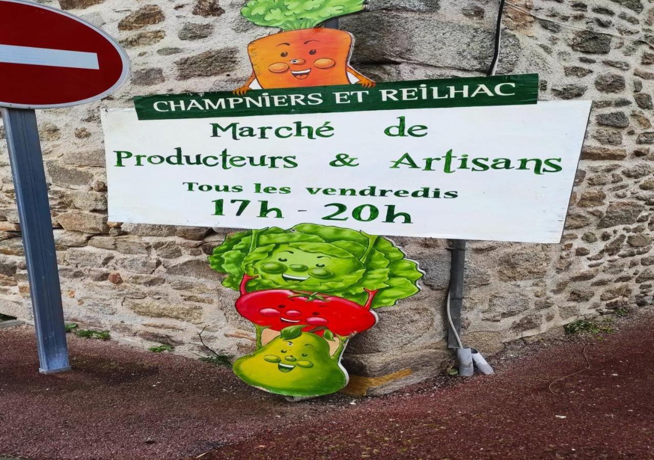 Cap Nature - T4 Et T3 En Perigord Vert - Ideal Pros Et Groupes Max 18P Champniers-et-Reilhac Exterior foto