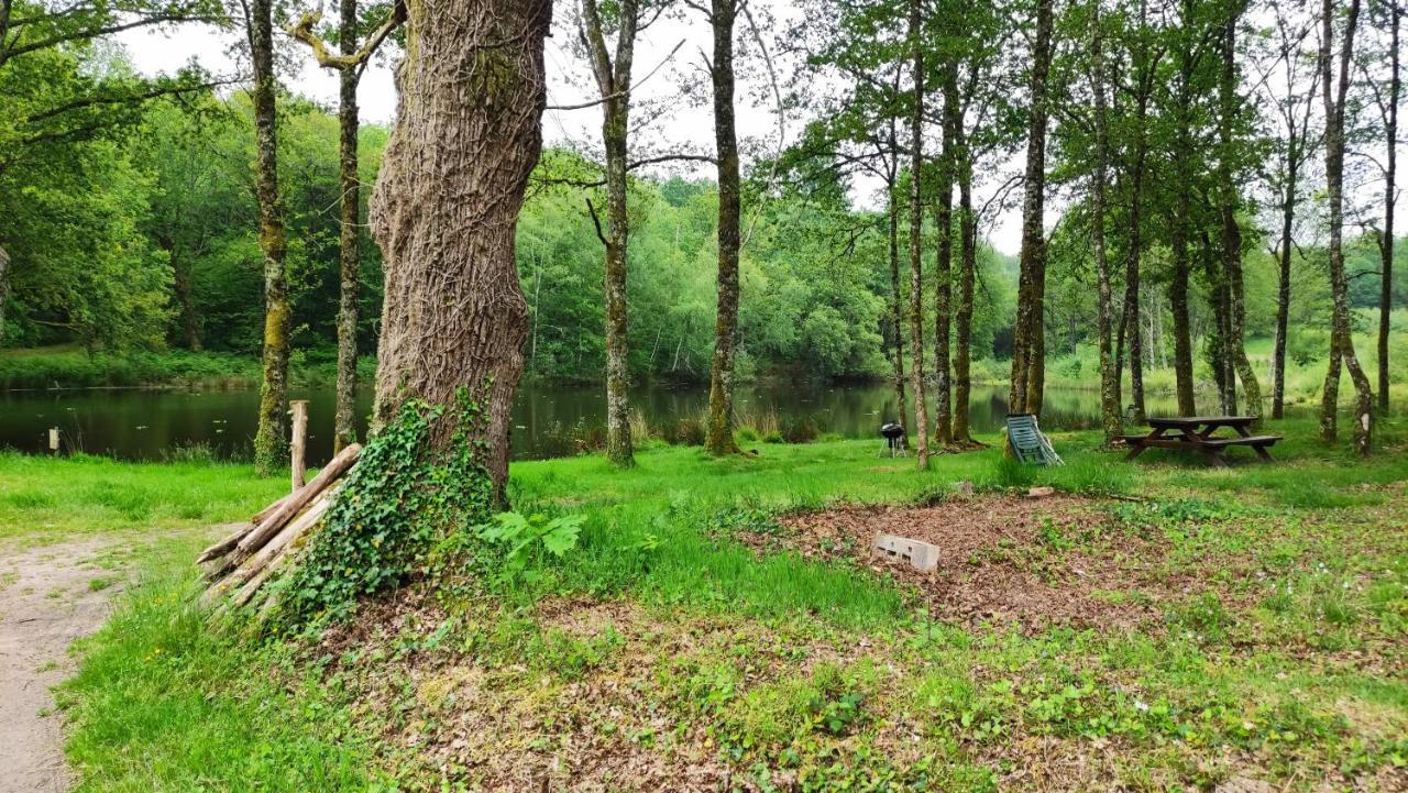 Cap Nature - T4 Et T3 En Perigord Vert - Ideal Pros Et Groupes Max 18P Champniers-et-Reilhac Exterior foto
